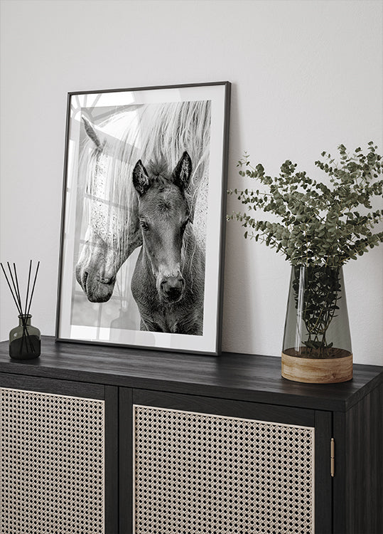 The Foal Plakat - Posterbox