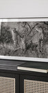 Three Cats Plakat - Posterbox