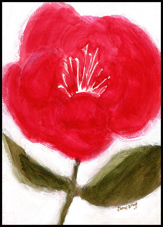 Floral In Red for Cierra Plakat - Posterbox