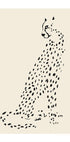Pandc Leopard - Posterbox
