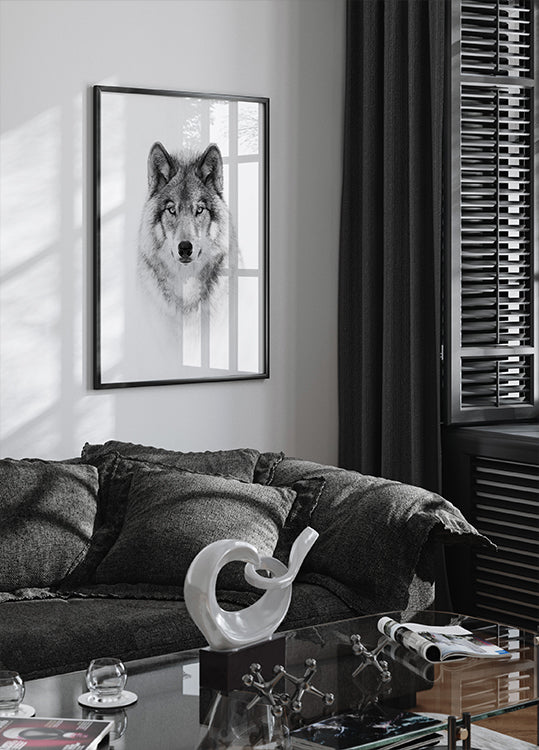 Portrait of a Timber Wolf Plakat - Posterbox