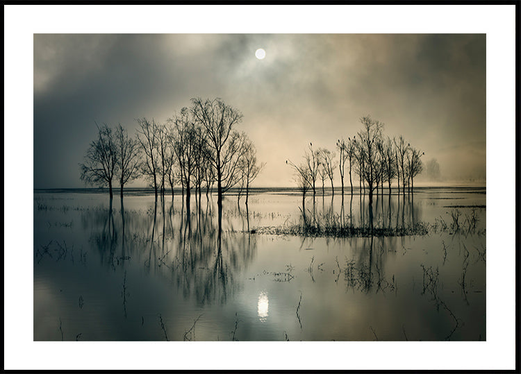 Lake's Secret - Posterbox