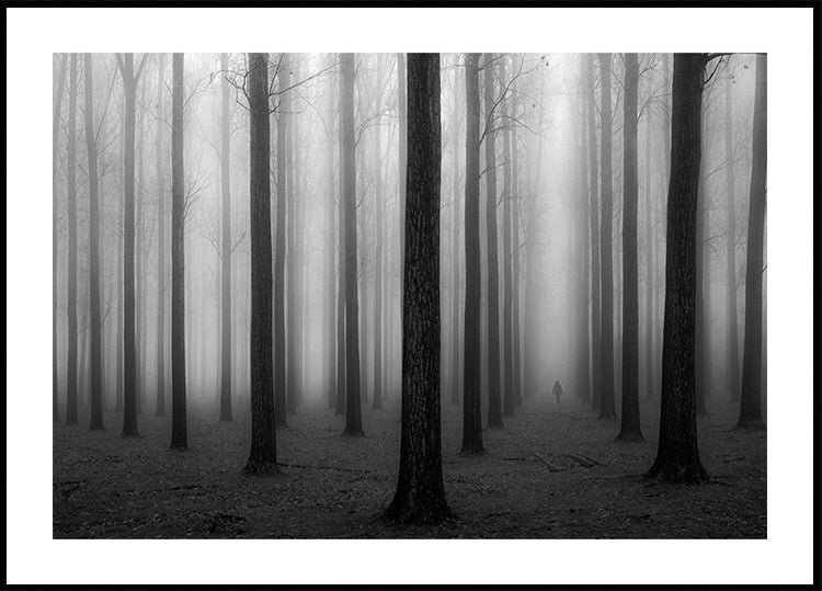 In a Fog - Posterbox