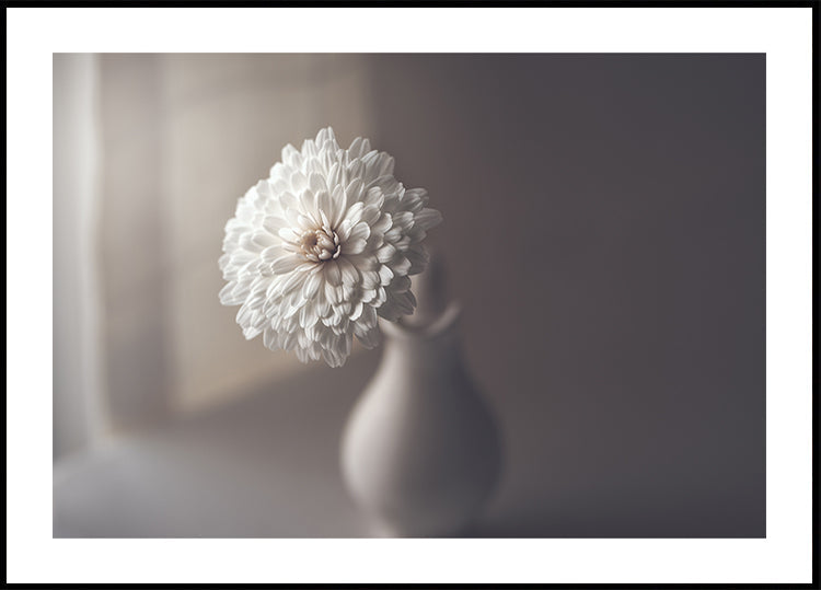 window light - Posterbox