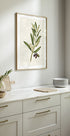 Olea Europaea (NEW) - Posterbox