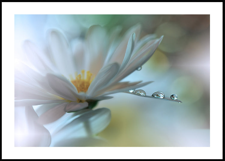 Light touch... - Posterbox