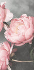 01643 Plakat - Posterbox