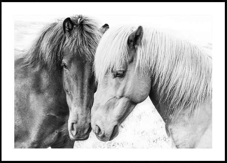 Horse Love Plakat - Posterbox