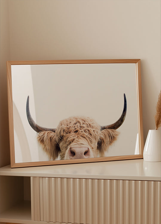 Peeking Cow Plakat - Posterbox