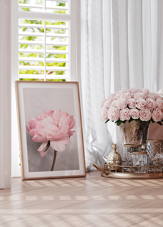 Peony - Posterbox