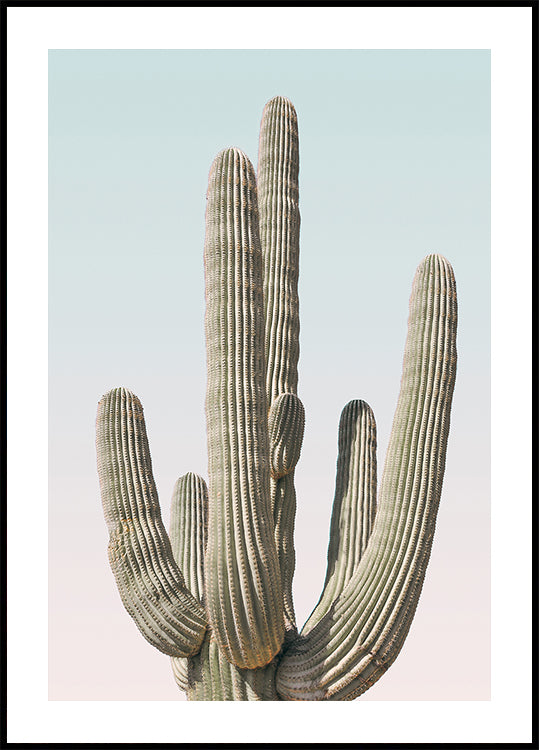 Saguaro Plakat - Posterbox