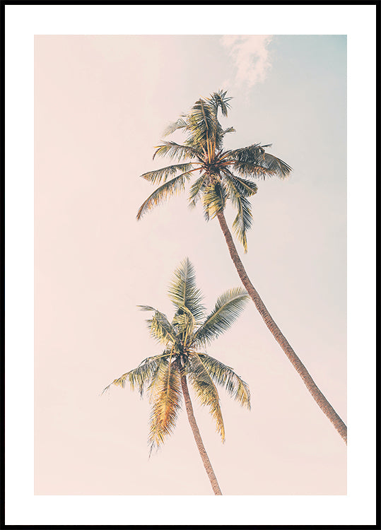 Tropical Palms Plakat - Posterbox