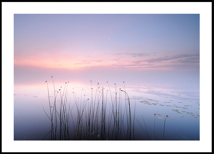 Lake - Posterbox