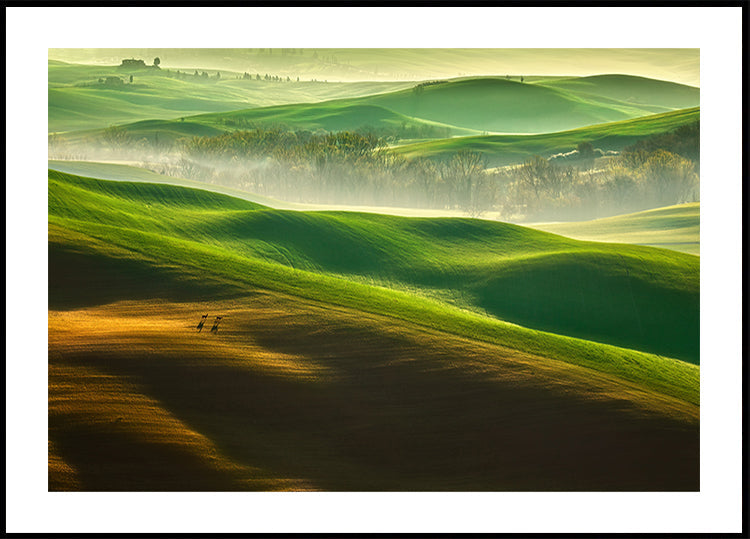 Freedom.... - Posterbox