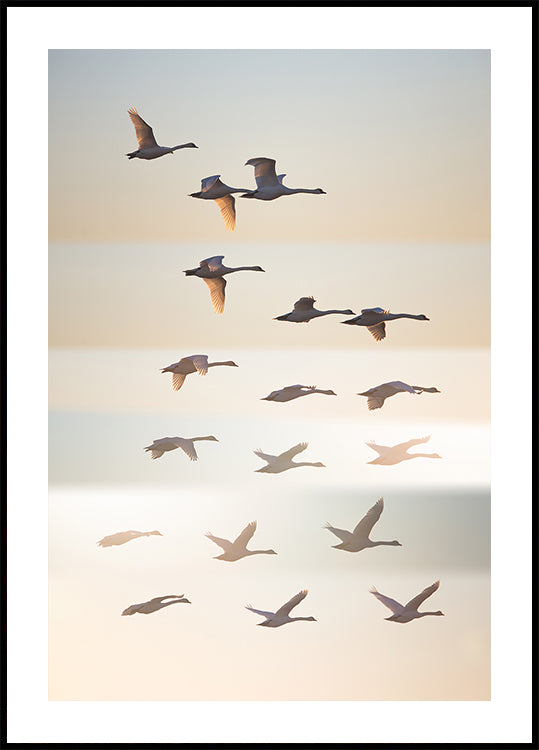 Past the sun. - Posterbox
