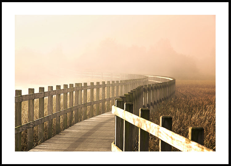 The Path gets brighter. - Posterbox