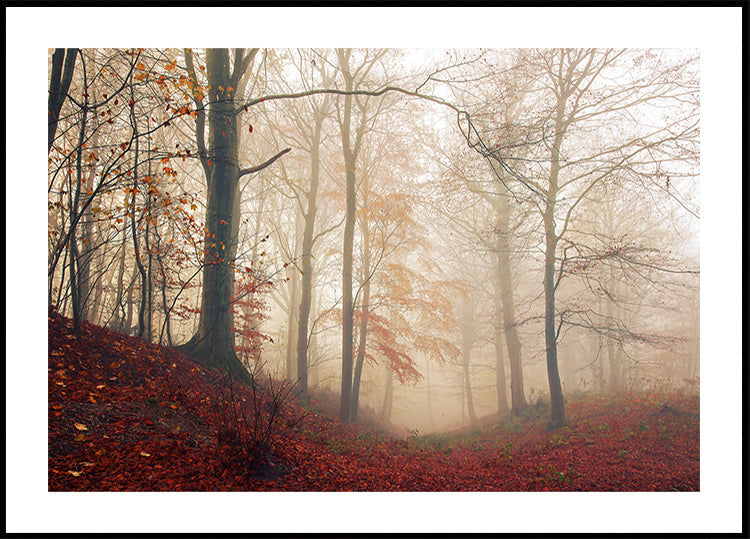 Waiting for the deer. - Posterbox