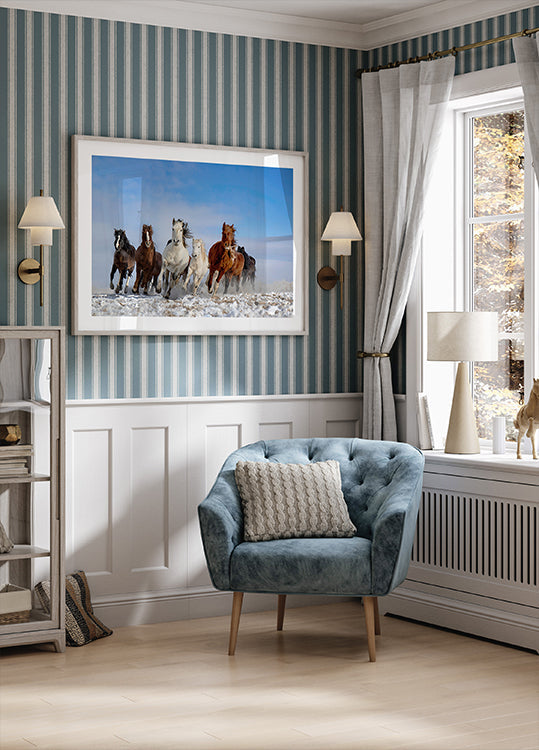 Mongolia Horses - Posterbox
