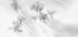 Winter dream - a still ballet Plakat - Posterbox