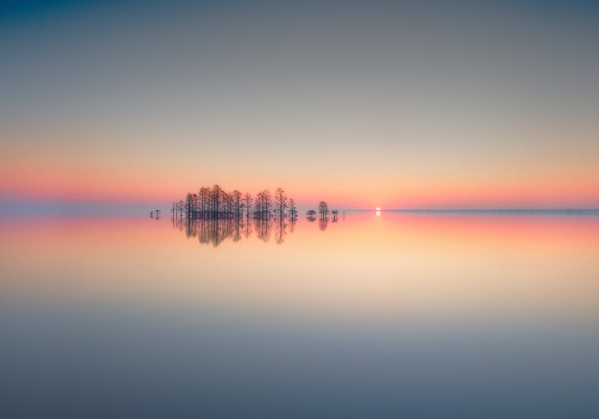 Lake Mattamuskeet Memory - Posterbox
