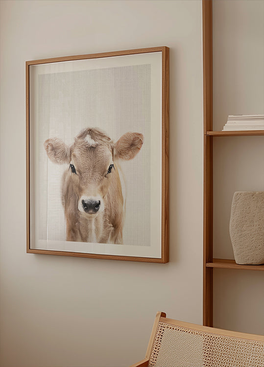 Peekaboo Baby Cow  Plakat - Posterbox