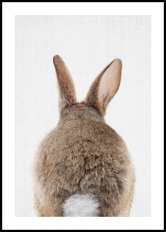 Peekaboo Bunny Tail Plakat - Posterbox