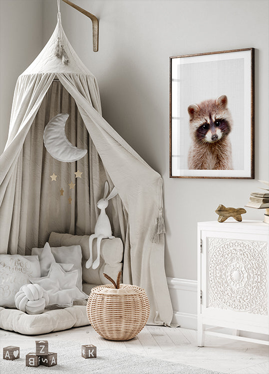 Peekaboo Raccoon Plakat - Posterbox