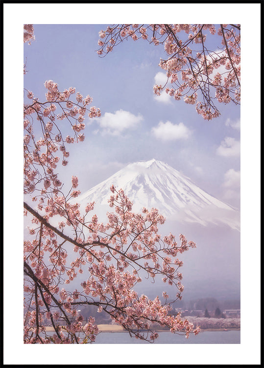 Mt.Fuji in the cherry blossoms Plakat - Posterbox