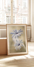 Cape daisies Plakat - Posterbox