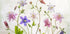 Columbine Plakat - Posterbox