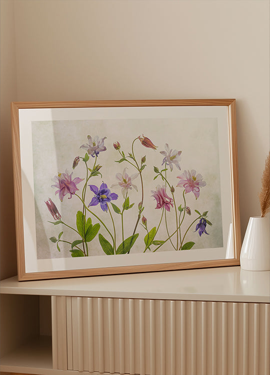 Columbine Plakat - Posterbox