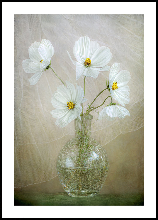 Cosmos breeze - Posterbox
