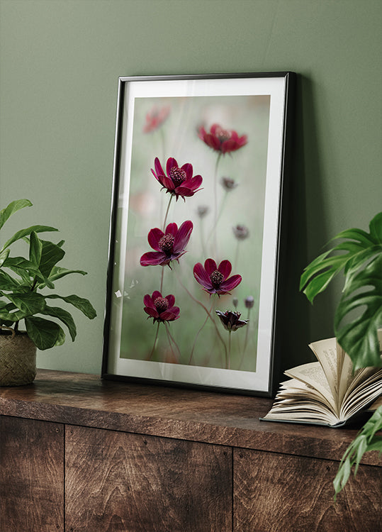 Cosmos sway - Posterbox