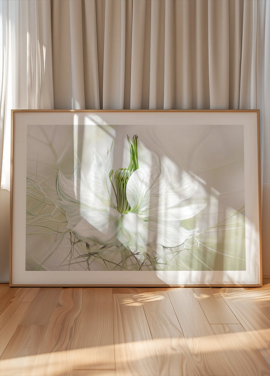 Nigella Plakat - Posterbox
