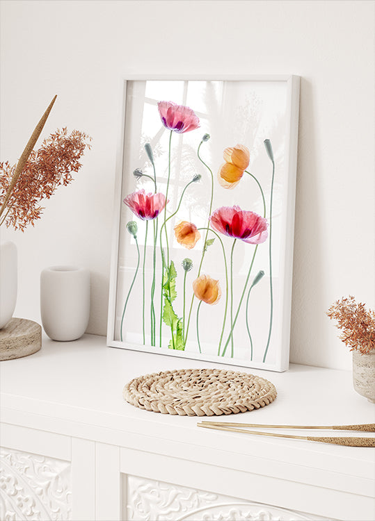 Poppies Plakat - Posterbox