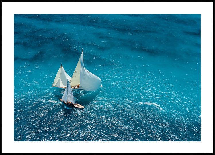 Croisement bleu - Posterbox
