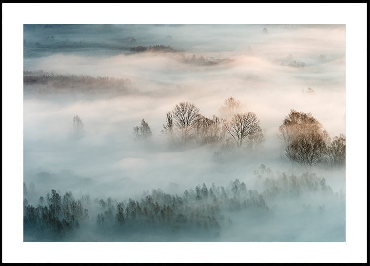 Winter fog Plakat - Posterbox