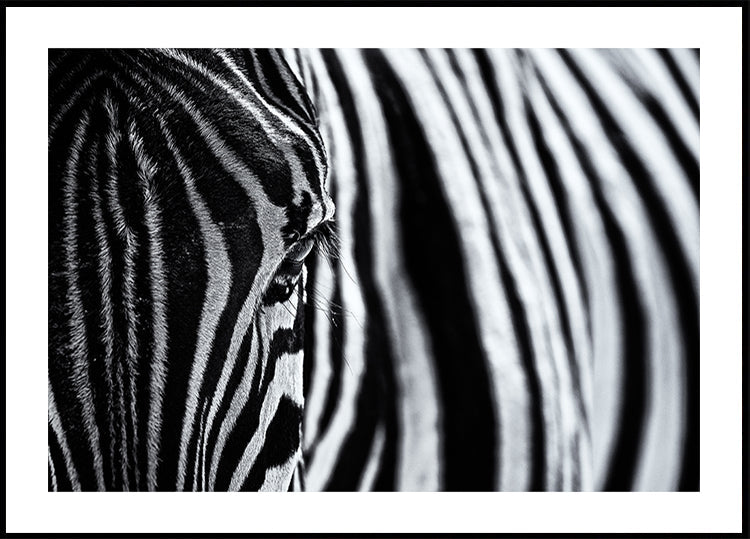The look of nature - Posterbox