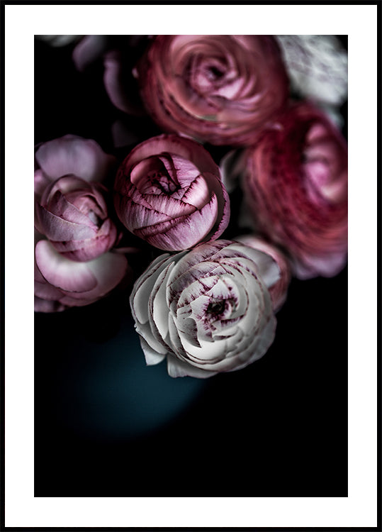 Dark Flowers 2 - Posterbox