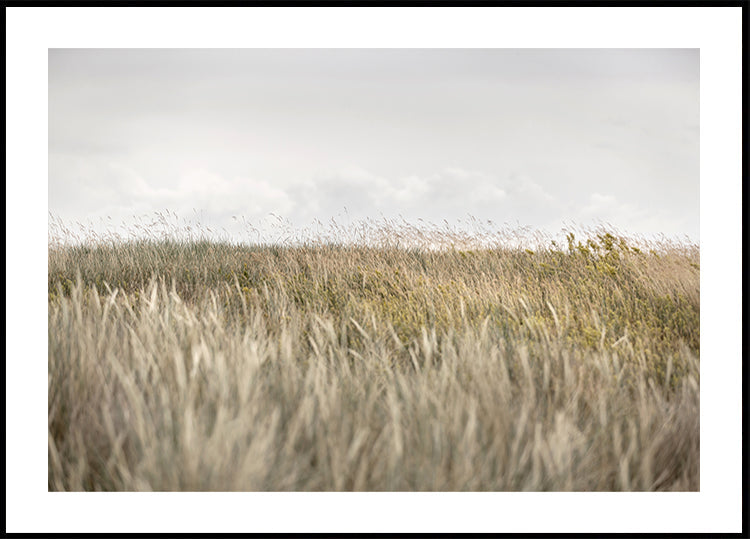 Dunes and Clouds 2 - Posterbox