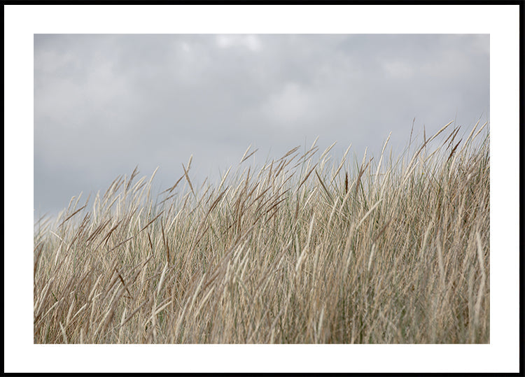 Dunes and Clouds - Posterbox