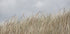 Dunes and Clouds - Posterbox