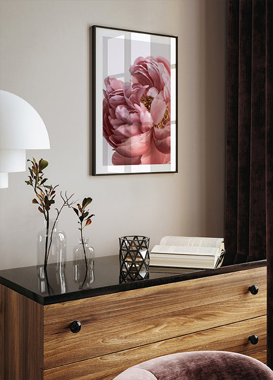 Peony - Posterbox