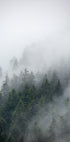 Foggy Morning 2 Plakat - Posterbox