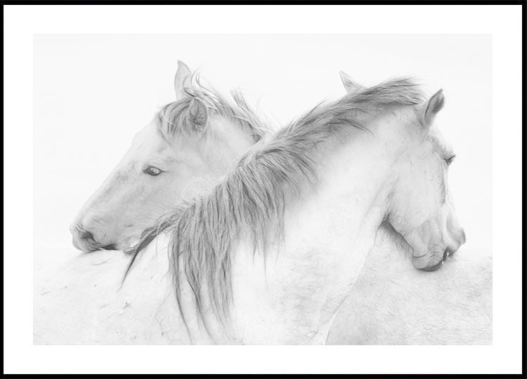 Horses - Posterbox
