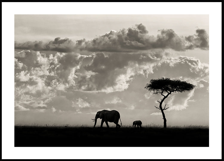 Silhouettes of Mara - Posterbox