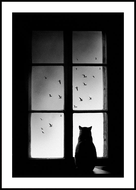 winter is coming Plakat - Posterbox