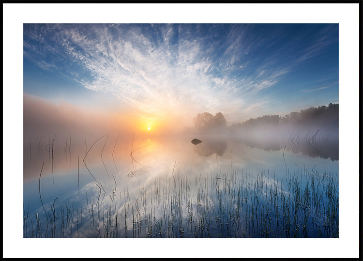 Reflection - Posterbox
