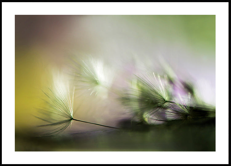In the morning - Posterbox