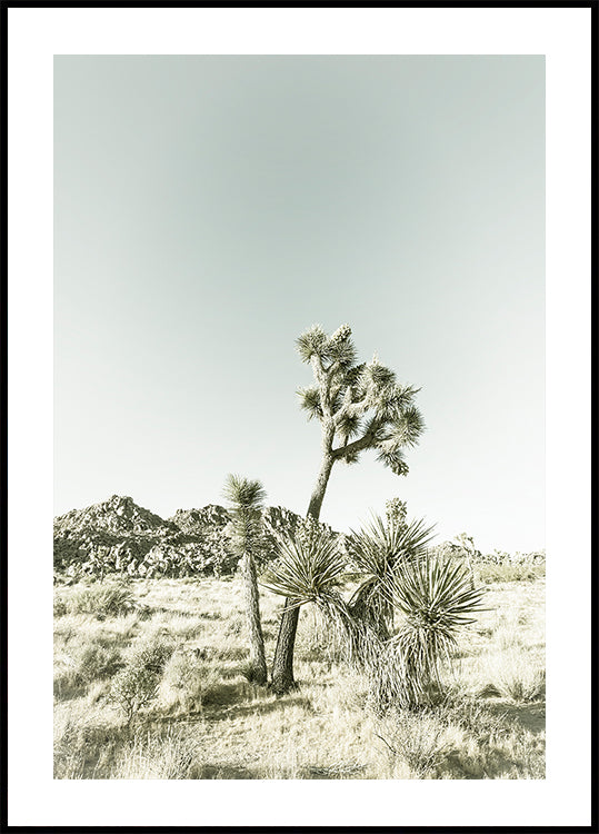 Joshua Tree National Park Vintage Impression Plakat - Posterbox